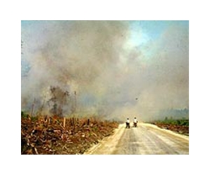 Indonesia begins cloud-seeding to fight haze