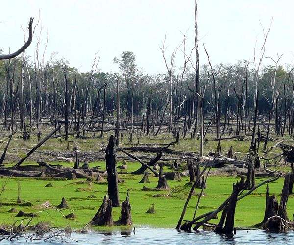 Study reveals human destruction of global floodplains