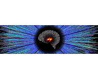 Applying machine learning to the universe's mysteries