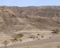 Earliest known fossil of the genus Homo dates to 2.8 to 2.75 million years ago