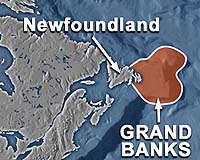 Grand Banks' Cod Stocks Being Decimated: WWF