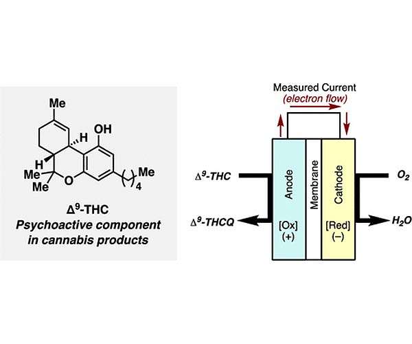 Chemists make strides toward a marijuana breath analyzer