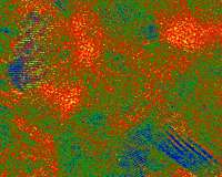 Water without windows: Capturing water vapor inside an electron microscope