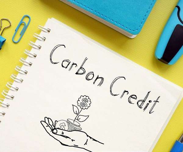 Carbon credits protecting forests use flawed calculations: study
