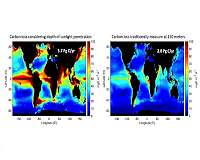 The ocean's 'biological pump' captures more carbon than expected