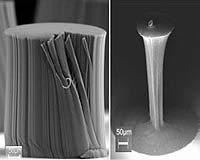 The Original Nanoworkout - Helping Carbon Nanotubes Get Into Shape