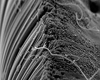 US Government Delays Nanotechnology Safety Measures