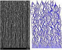 Engineers now understand how complex carbon nanostructures form
