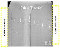 Scientists Develop World's Longest Electrically Conducting Nanotubes