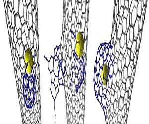 Carbon nanotube structures changed by 'attack' from within