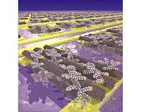 Carbon nanotubes self-assemble into tiny transistors