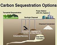 France, Saudi Arabia to cooperate in CO2 'capture' technology