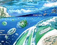 Climate talks must tackle ocean acidification: scientists