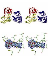Poison + Water = Hydrogen. New Microbial Genome Shows How