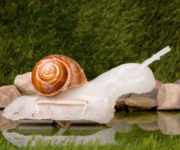 Engineering breakthrough in softbotics