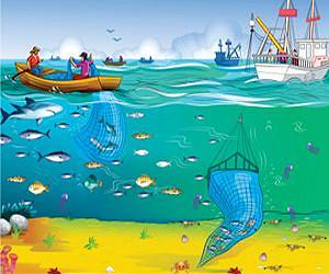 Why we need to put the fish back into fisheries