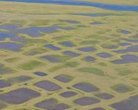 A study shows an increase of permafrost temperature at a global scale