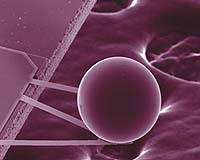 Physicists Clarify Exotic Force, But No 'Theory Of Everything' Yet