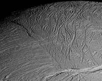 Tiny Enceladus May Hold Ingredients Of Life
