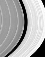 World Reacts To Ringworld's Camera