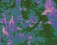 Radar Image Shows Titan's Surface Live And In Color