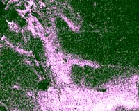 Oozing Across Titan