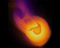 'Cataclysmic' collision shaped Uranus' evolution