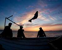 Anglers' delight as algal blooms breakthrough highlights innovative science