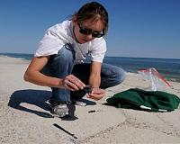 Trace amounts of oil still on California beaches