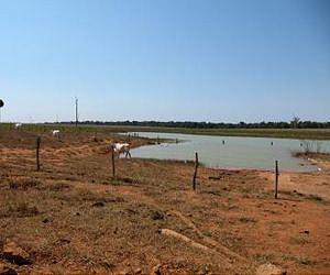 No-win situation for agricultural expansion in the Amazon