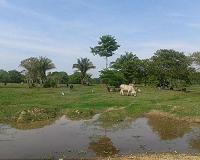 Kent study recommends solution to end unsustainable agricultural practices
