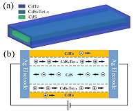 Fast visible-UV light nanobelt photodetector