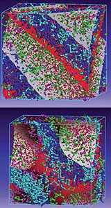 Pitt Professor's Theory Of Evolution Gets Boost From Cell Research