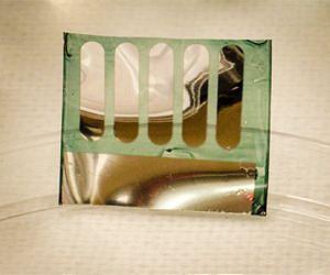 Trees Used to Create Recyclable, Efficient Solar Cell