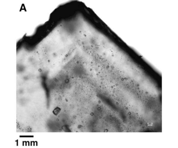 Ancient microorganisms found in halite may have implications for search for life