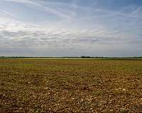 Land-use planning could reconcile agricultural growth with conservation of nature