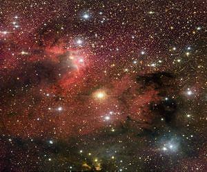 NOAO: Star Birth in Cepheus