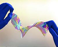 Engineers create chameleon-like artificial 'skin' that shifts color on demand
