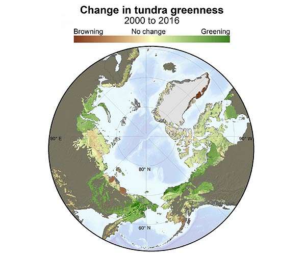 Global change ecologist leads NASA satellite study of rapid greening across Arctic tundra