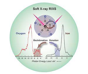 Watching catalysts at work - at the atomic scale