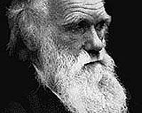 St Petersburg Court Rejects Schoolgirl Suit Over Darwinism