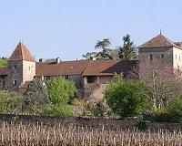 Chinese billionaire sees baguette goldmine in French fields