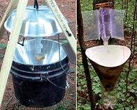 Cheap moth trap may make citizen science projects more affordable
