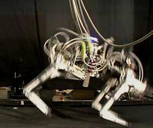 Ground robot speed records raise hopes