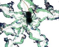 Chemical Gardens in Space