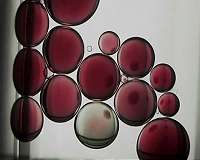 Setback for EU deal on hormone-disrupting chemicals