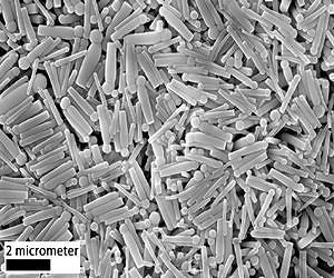 Motorised microscopic matchsticks move in water with sense of direction