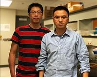 Unlocking fermentation secrets open the door to new biofuels
