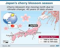 Spring comes to Tokyo with first cherry blossoms