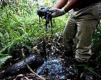 Ecuadoran villagers can pursue Chevron in Canada: court